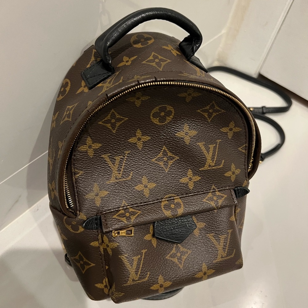 ✨Louis Vuitton LV Palm Springs Mini Monogram Backpack